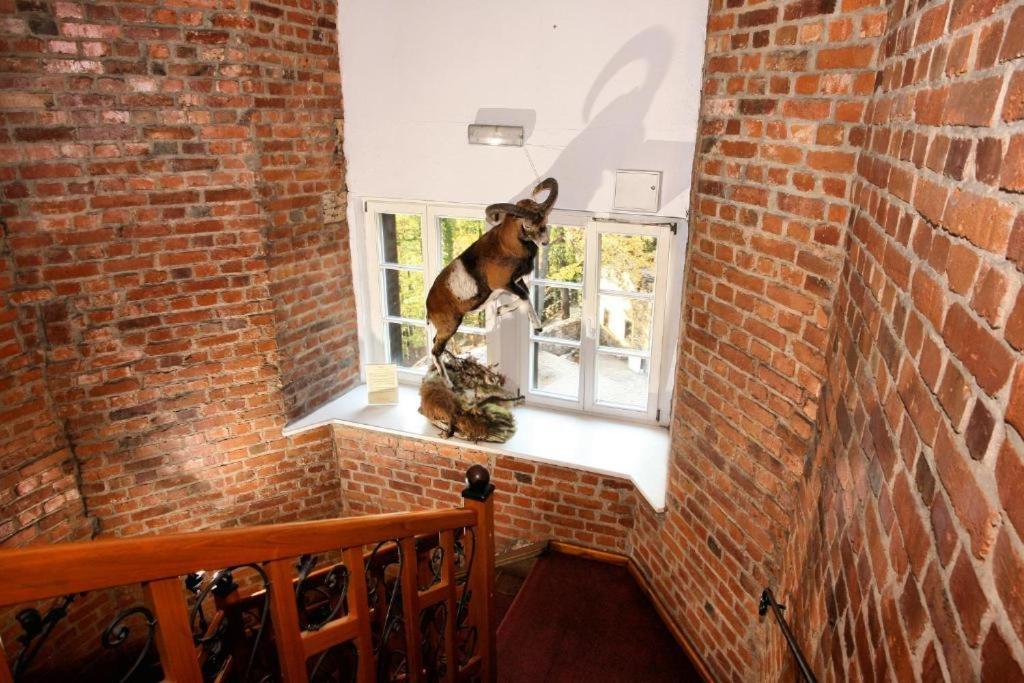 Hotel Przy Oslej Bramie - Zamek Ksiaz Wałbrzych Buitenkant foto