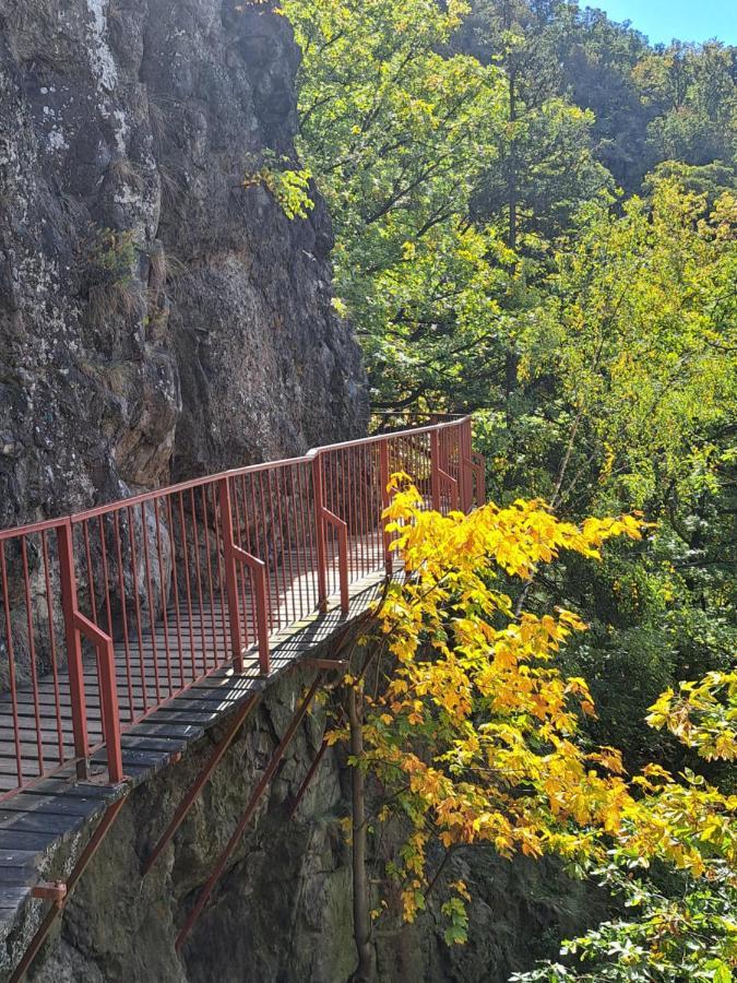 Hotel Przy Oslej Bramie - Zamek Ksiaz Wałbrzych Buitenkant foto